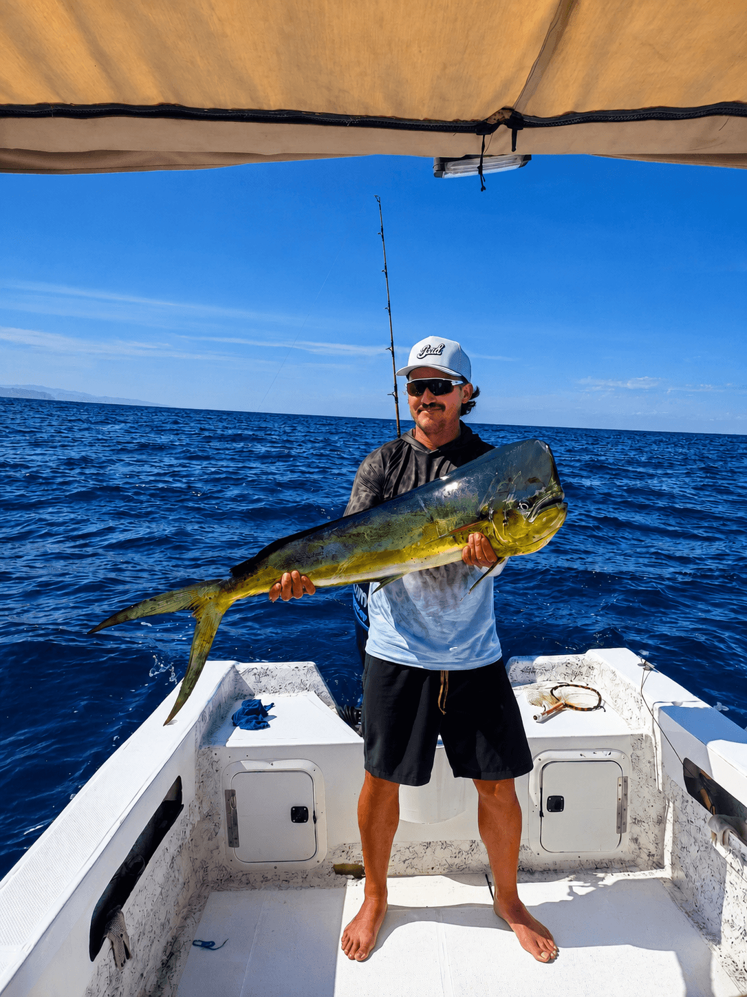 Mahi just brought aboard, in the shade of the canopy