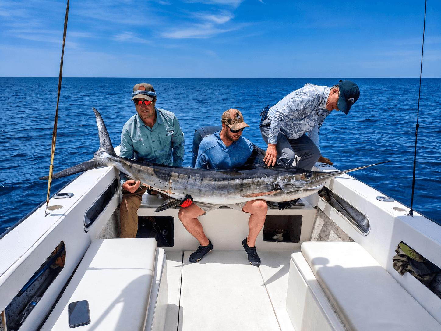 Striped marlin